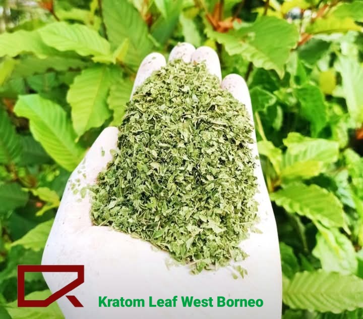 Eksport Daun Kratom